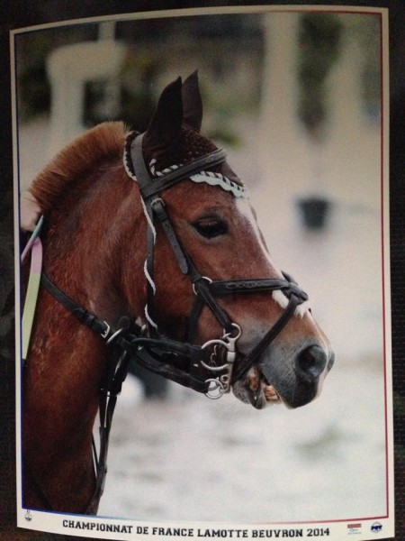 Photo de profil de leilastan