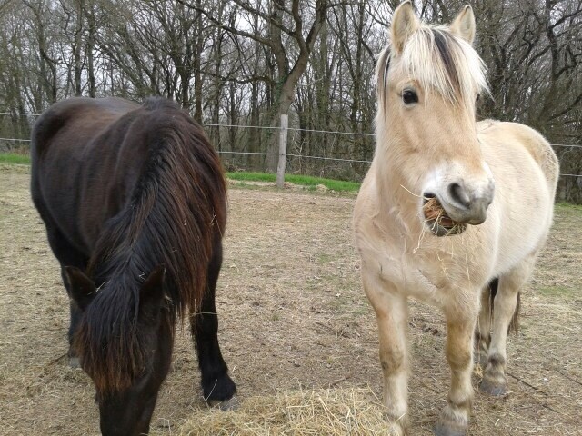 Photo de profil de les4e