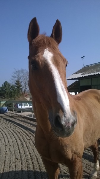 Photo de profil de lester70