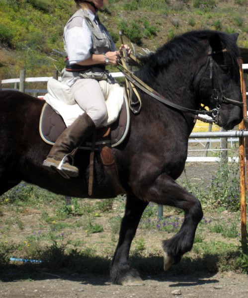 Photo de profil de lighthand