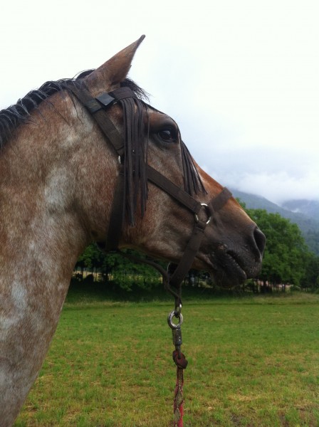 Photo de profil de lisa73200