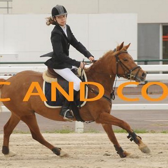 Photo de profil de lisaxequitation