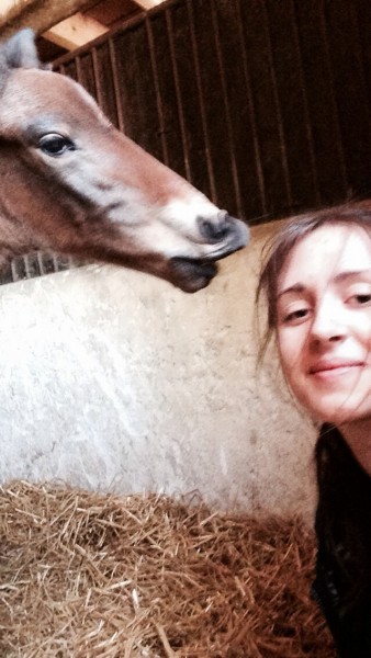 Photo de profil de lisouh