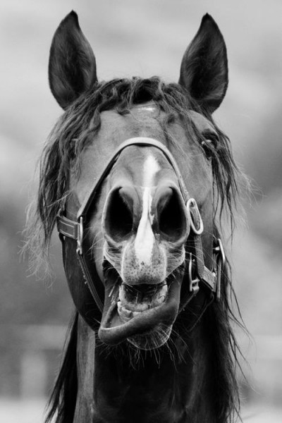 Photo de profil de lolodixy