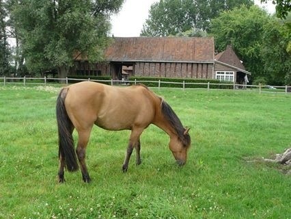 Photo de profil de longway