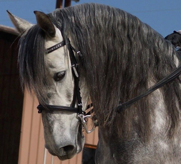 Photo de profil de lonovato