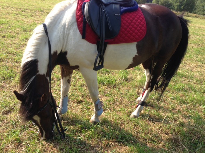 Photo de profil de louhosoa