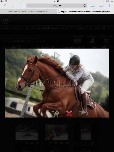 Photo de profil de lucieprovins