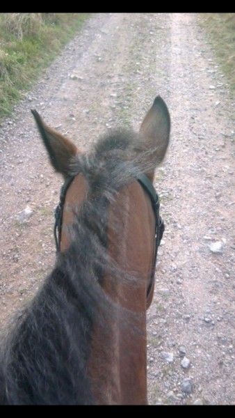 Photo de profil de maelys88