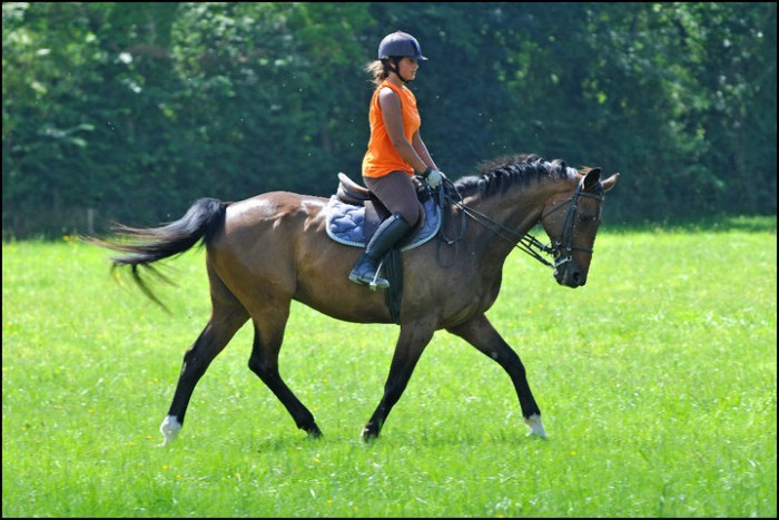 Photo de profil de mango1012