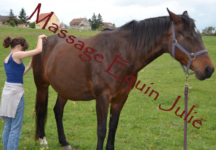 Photo de profil de massageequin