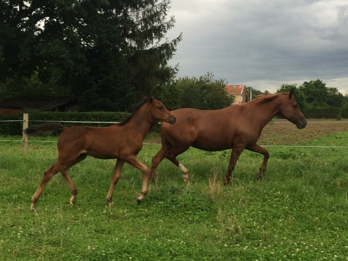 Photo de profil de mathilde140508