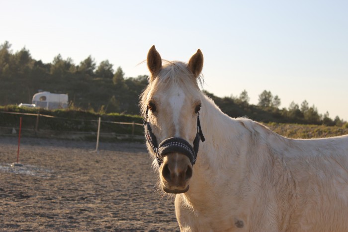 Photo de profil de mejavo8