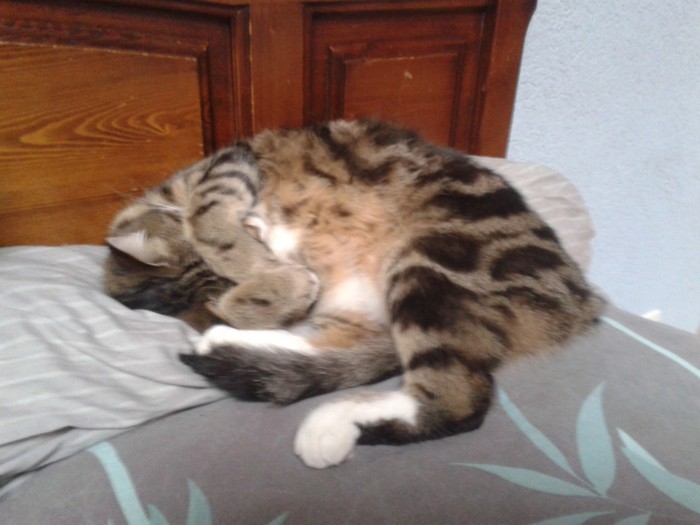 Photo de profil de mimichouchou