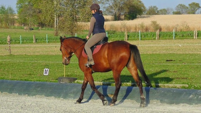 Photo de profil de mimijorjo