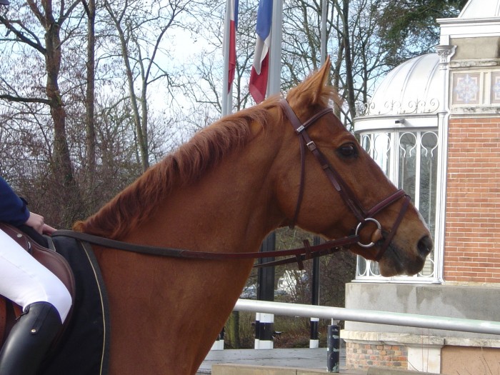 Photo de profil de moheann