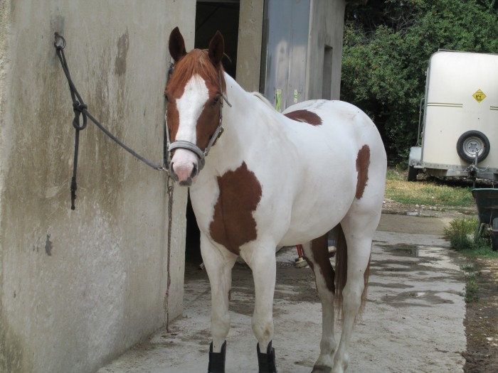 Photo de profil de odile83