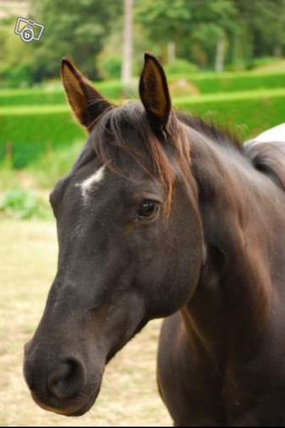 Photo de profil de ogervictoria