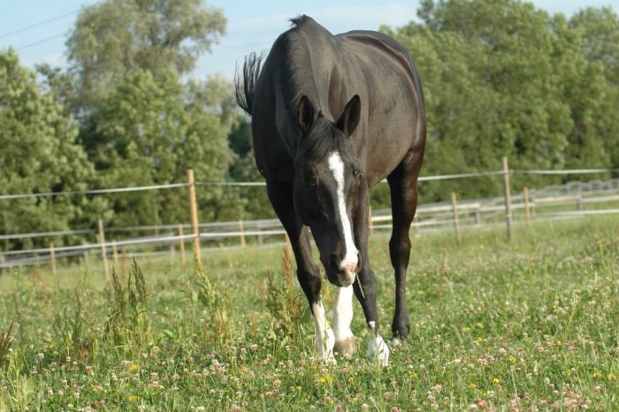 Photo de profil de orelieee