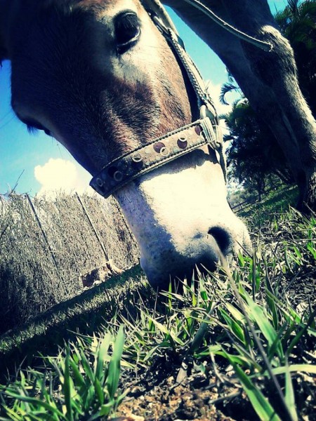 Photo de profil de orlaaaane
