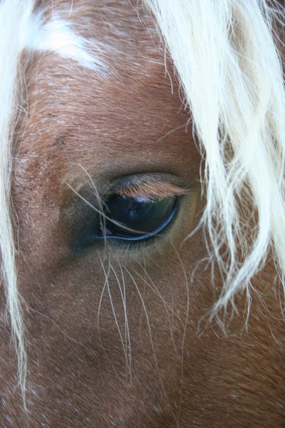 Photo de profil de orri