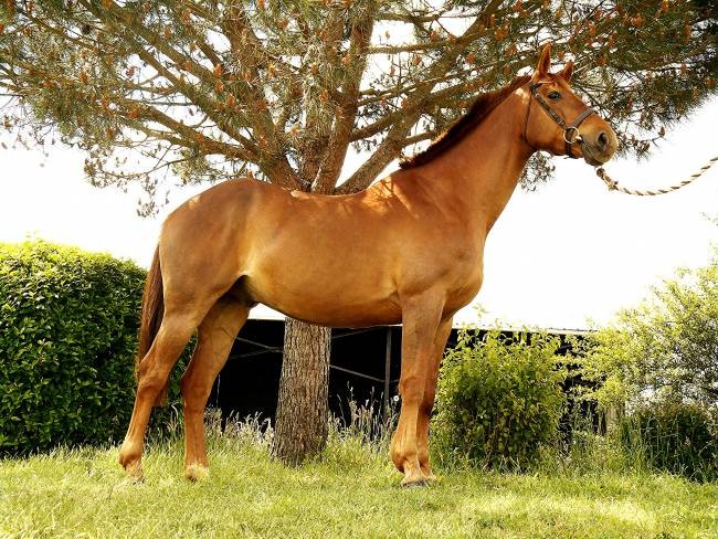 Photo de profil de paillettesss