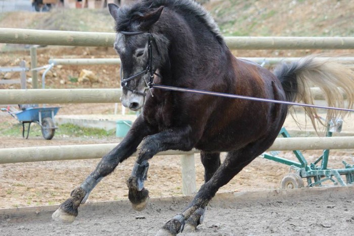 Photo de profil de palomacecile