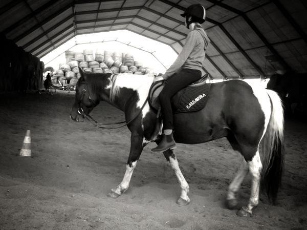 Photo de profil de panda360