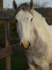 Photo de profil de qhforsale