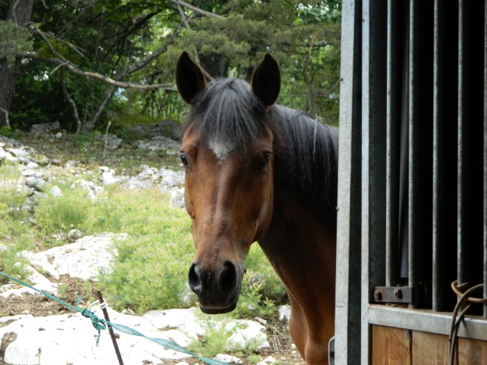 Photo de profil de quartz06