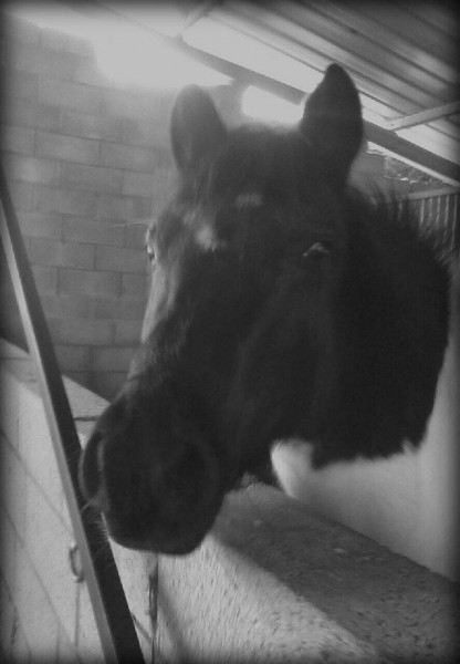 Photo de profil de quininalaponett