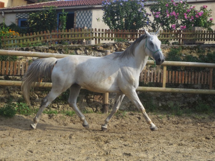 Photo de profil de raminou