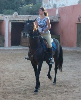 Photo de profil de ranchdiabat