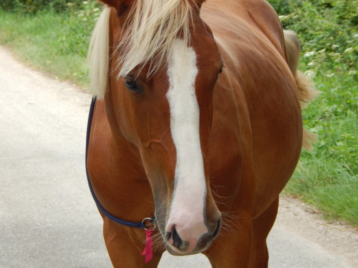 Photo de profil de ritanounette