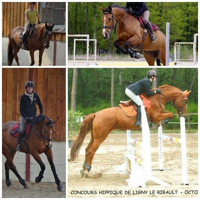 Photo de profil de scholts