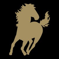 Photo de profil de shires24