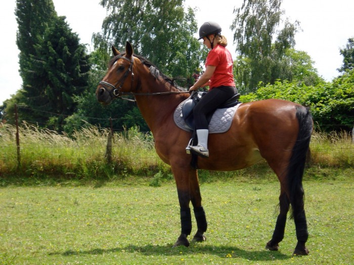 Photo de profil de shirley424