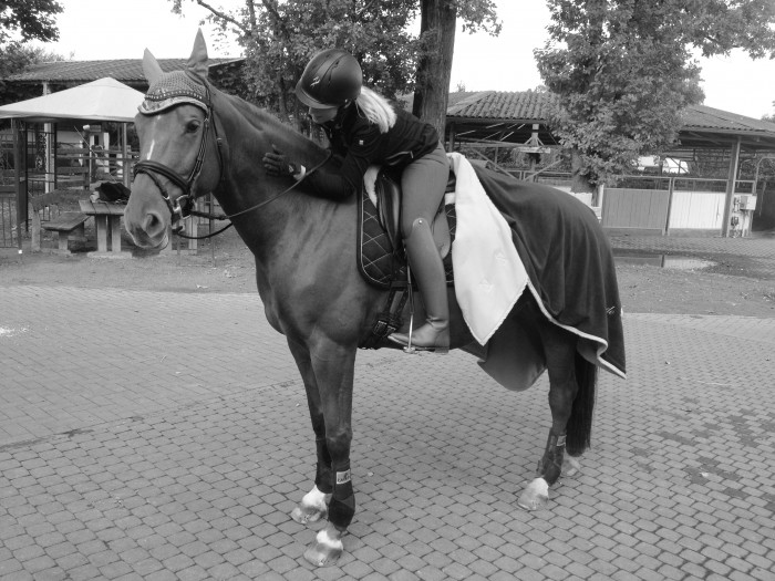 Photo de profil de sidoucedemoncel