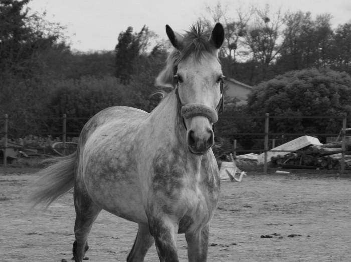 Photo de profil de smarion