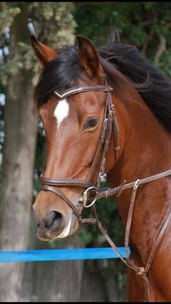 Photo de profil de soleiade13