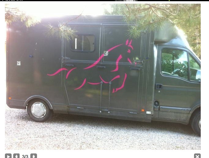 Photo de profil de solide