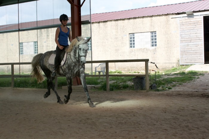 Photo de profil de .sophie.