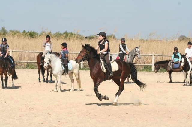 Photo de profil de spirit.