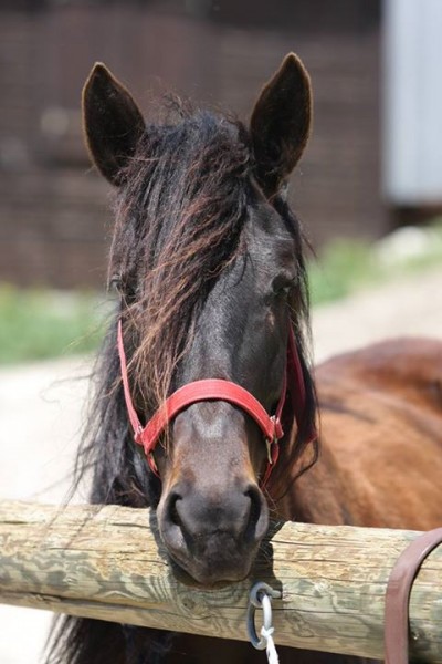 Photo de profil de spirit13300
