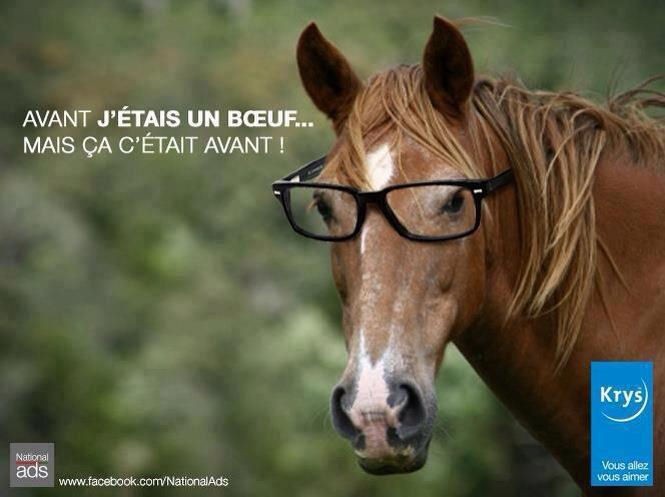 Photo de profil de stephpatiro