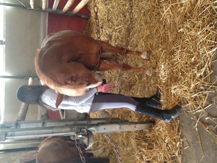 Photo de profil de surdel