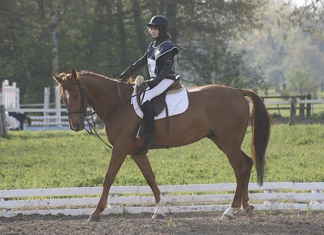 Photo de profil de theaorphee