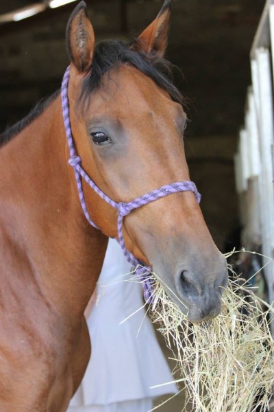 Photo de profil de tite.pomme