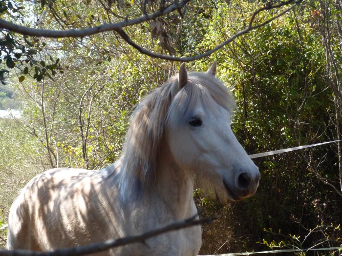 Photo de profil de utahdestcolombe