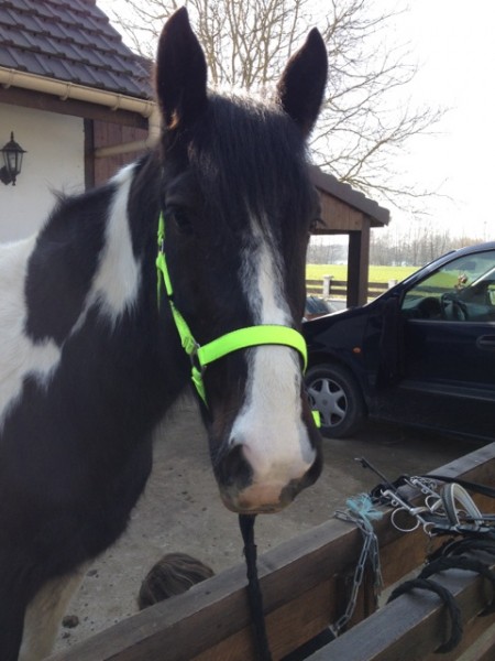 Photo de profil de ...utha...